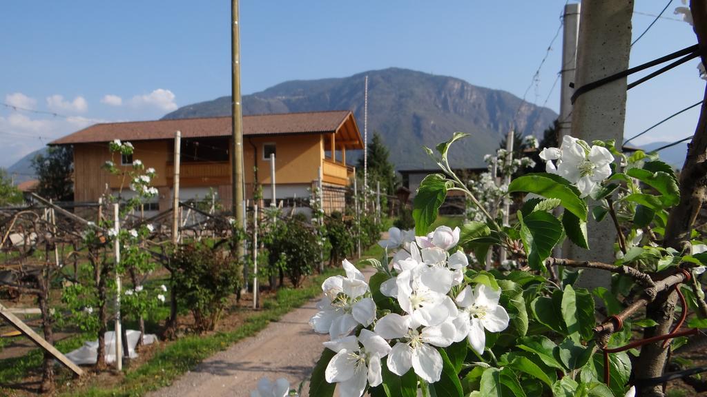Urbanhof Prantenberger Bolzano Ngoại thất bức ảnh