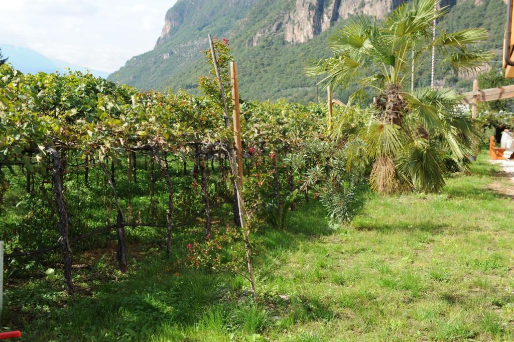 Urbanhof Prantenberger Bolzano Ngoại thất bức ảnh